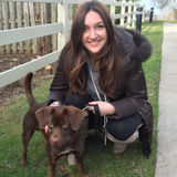 Dog Chateau's PAWsome Dog Walking!