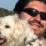 Have lived with cats and dogs all my life, am comfortable with all breeds.