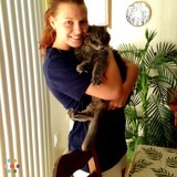 Experienced Animal Caretaker