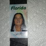 Peace of mind is priceless Coconut Creek Housesitter Seeking Being Hired