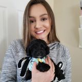 A wooftastic petcare provider
