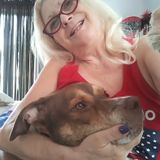 Experience Prescott Pet and House Sitter