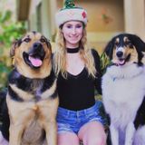 Davie Pet Sitter/Dog walker