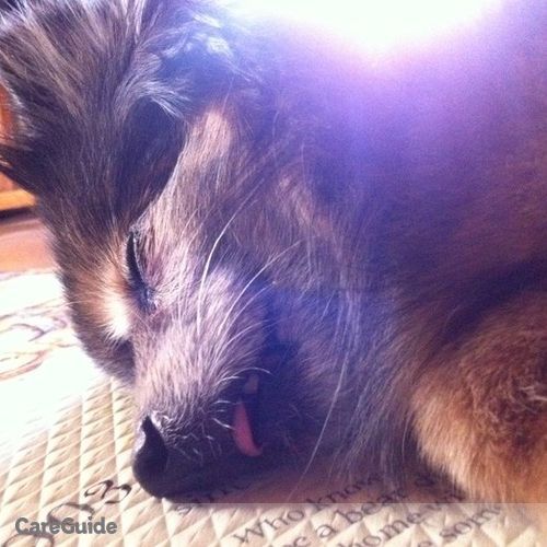 Pet Care Provider Jungsu L's Profile Picture