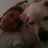 I'm a dog lover and have plenty experience with dogs. Available for Pet Sitter and dog walking opportunity.