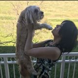 House sitter, pet sitter