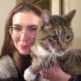 Folsom House Sitter Interested In Job Opportunities