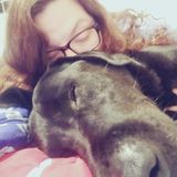 Wake Forest, North Carolina Dog Boarder/Walker/Pet Sitter/Doggie Daycare
