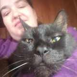 Jackson, Tennessee Animal Caregiver