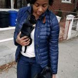 Knowledgeable Housesitter for Your Home