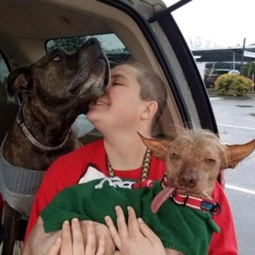 Pet Care Provider Samantha J's Profile Picture