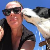 A Dogs Purpose? To Love Us! How did we get so lucky?
