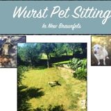 Available For a Pet Sitter Opportunity in New Braunfels