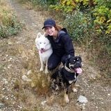 Interested In a Dog Sitter Opportunity in Edmonton, Stony Plain, and Spruce Grove