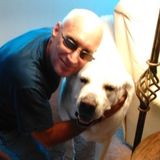 I love dogs and they love me! Responsible, trustworthy and dependable.