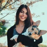 Pet sitter available immediately!