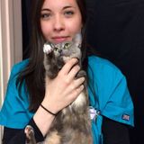 For Hire: Hardworking Animal Caregiver in Greenwich, Connecticut