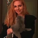 Miramar Pet Sitting Professional Interested In Job Opportunities in Florida
