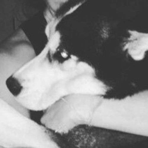 Pet Care Job Naom S's Profile Picture