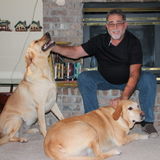 Available For Eagan, Burnsville, Apple Valley, Farmington Pet Care Provider Jobs