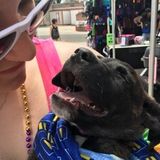 Qualified, capable, and loving