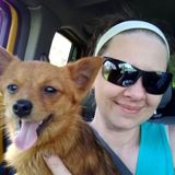 Dog walking, Pet Feeding, Pet Sitting Availability Now. Cozy Overnight Care Available Now!