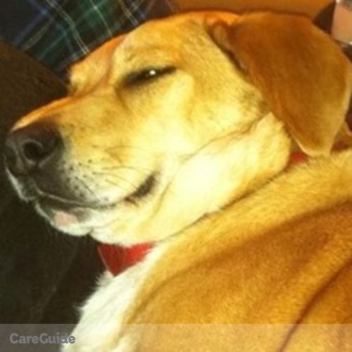 Pet Care Job Ilsa Billings's Profile Picture