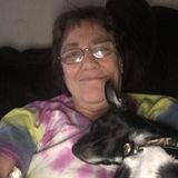 Looking For a Dog Sitter Opportunity in Garland or surrounding area