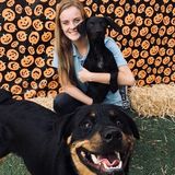 Dogs Walks and Belly Rubs!