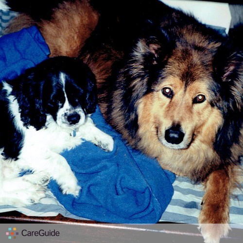 Pet Care Provider Travis H's Profile Picture