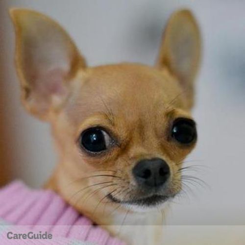 Pet Care Job Leslie L's Profile Picture