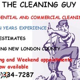 The Cleaning Guy