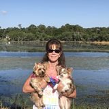 Port Charlotte Pet Care Provider will provide loving care to your pet when you are not available.