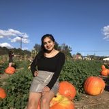 Available: Hardworking House sitter in Escondido&Valley Center