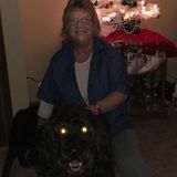 I love dogs they would have to be crate train so when I'm at work they can be in a cage but I'm home every night and on