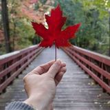 Im Paula Jean LLesis, finding a job in Canada as caregivier from the philippines,need a sponsorhip to work.