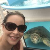 West Palm Beach Pet Service Provider Searching for Being Hired