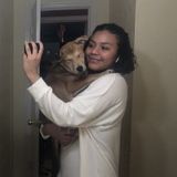 Looking For a Pet Care Provider Job in Kannapolis