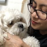 Loving Dogs in Fullerton