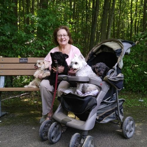 Pet Care Provider Deborah D's Profile Picture