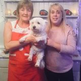 Experienced Irish housekeeper available from March