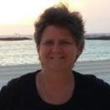 Animal Care - Cat/Dog sitting/feeding, dog walking, transport HALIFAX - B3K