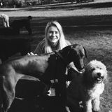 Student looking to walk and care for dogs