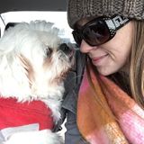 Available For Sackville Dog Jobs