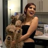 Animal Lover