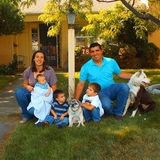Twin Falls, Idaho Part time babysitter