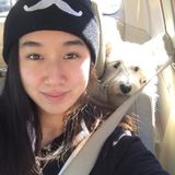 Dogsitting + Dogwalking