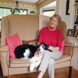 Excellent House and Pet sitter available
