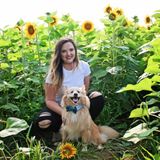 Loving Pet Sitter in Sandusky, Ohio