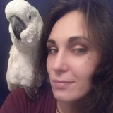 Oshawa Home Sitter Available For Work in Ontario